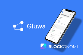 Gluwa 與尼日利亞當局合作推動加密貨幣政策框架