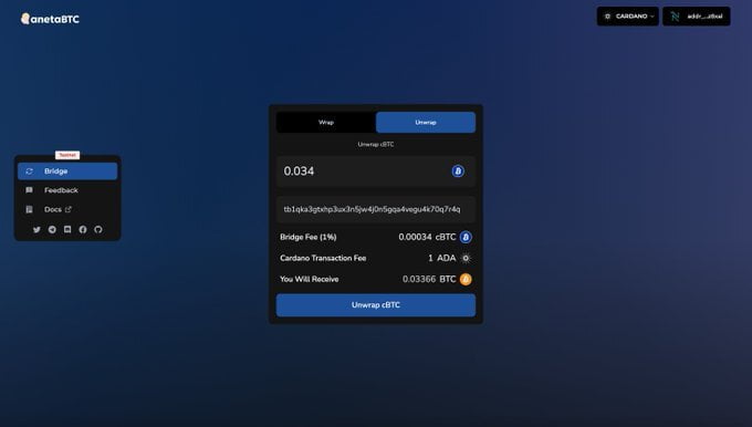 盤點比特幣代幣在 Cardano 測試網上上線