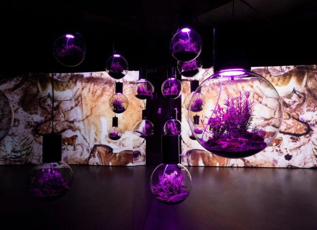 Hito Steyerl 在柏林 Esther Schipper 畫廊舉辦的新展覽批判性地看待加密貨幣