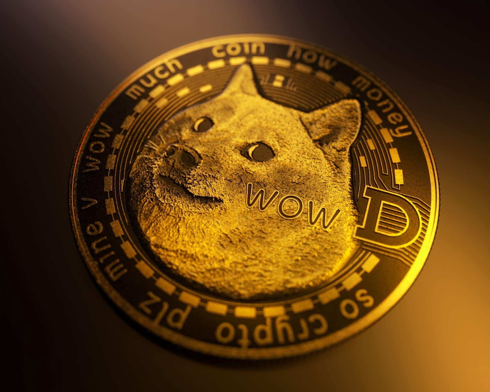 倫敦雄獅籃球俱樂部接受 DOGE 和 XRP