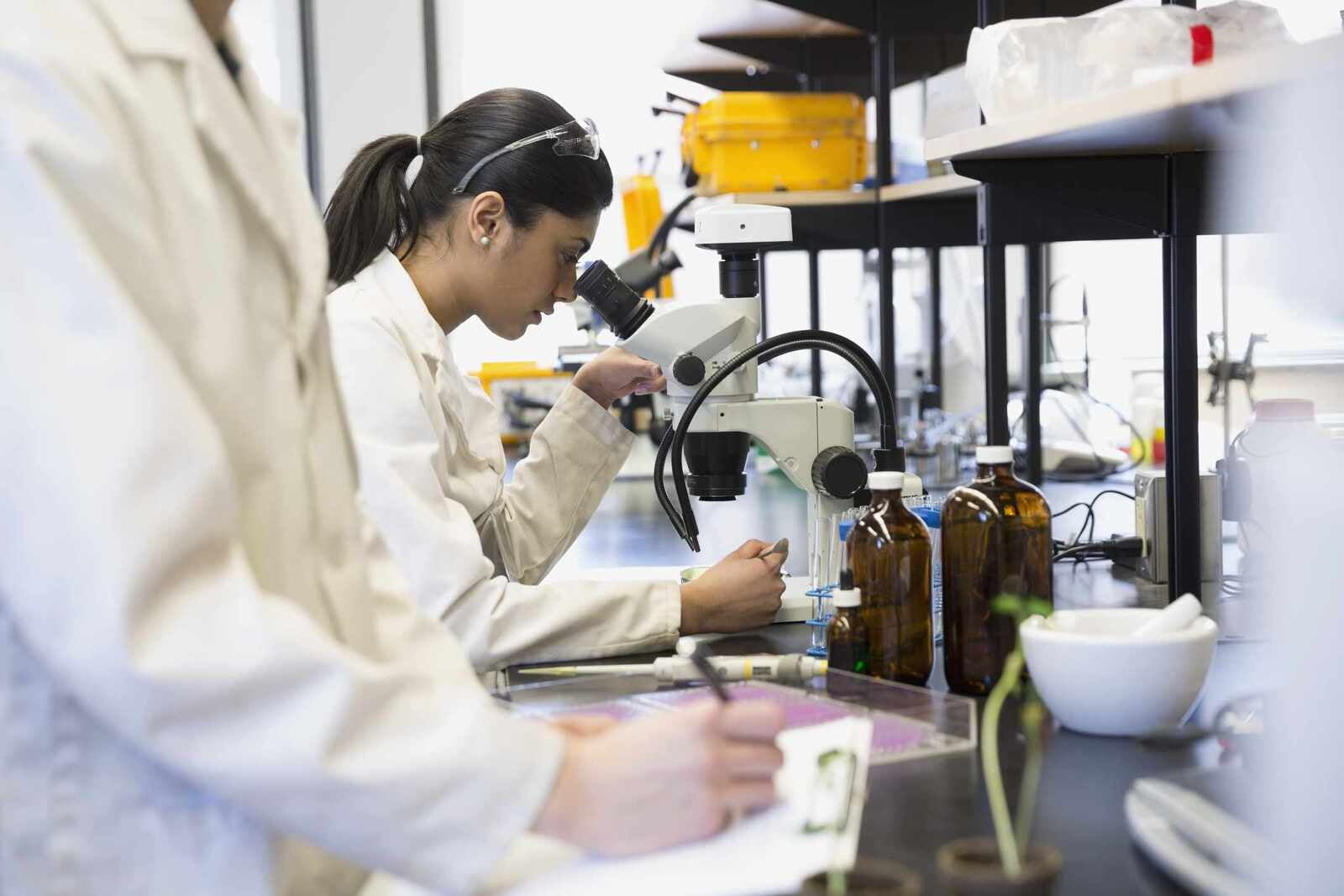 2022 年的 3 只生物技術共同基金